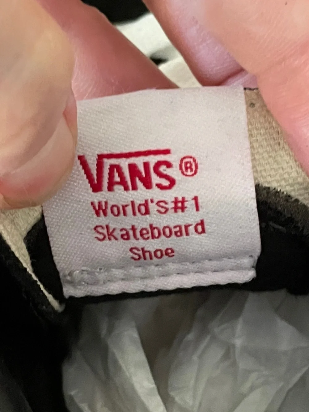 Vans might have